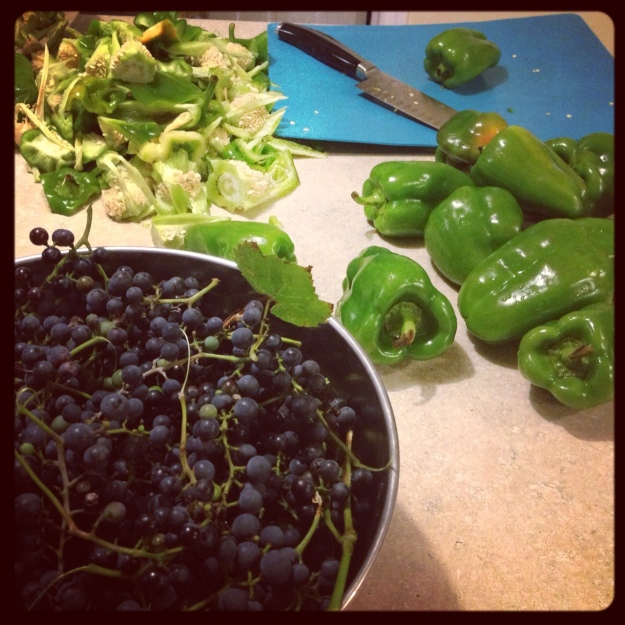 Chopping peppers for the freezer. That's a bowl of foraged wild grapes there too. 