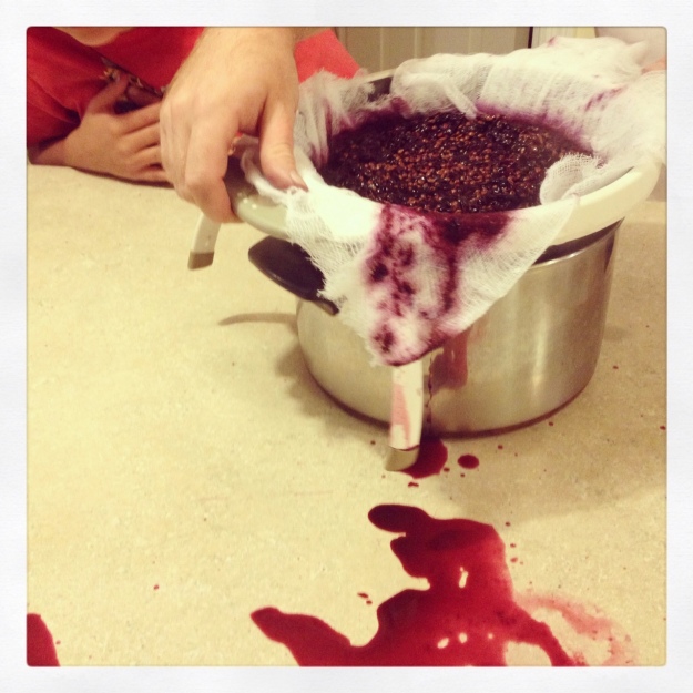 Making grape juice from the wild grapes. We turned it into jelly.